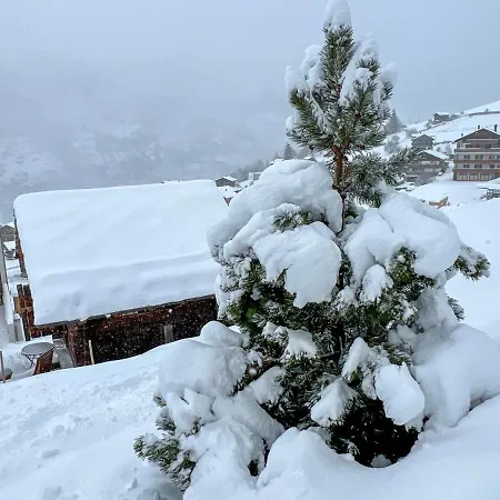 Apartment Sera Lodge- Wohnung Brunegghorn By Interhome Apartment *